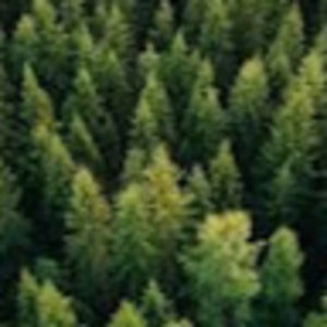 Meet your Posher, Rachael